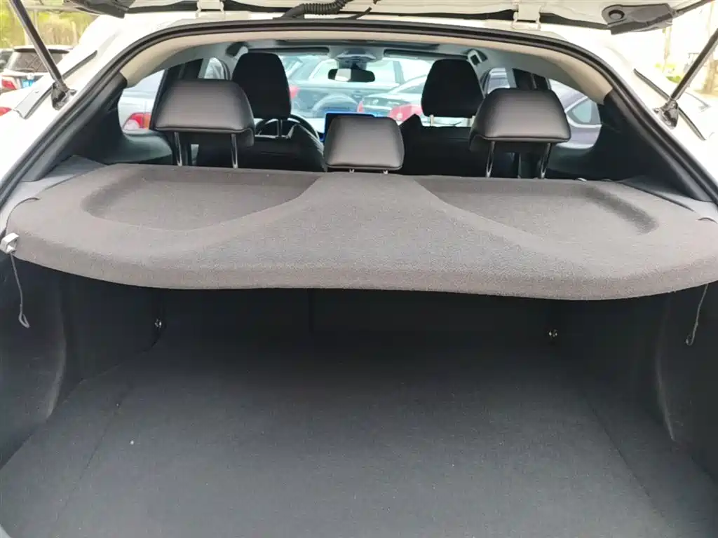 Toyota C-HR 2021 2.0L Luxury Edition фото 19