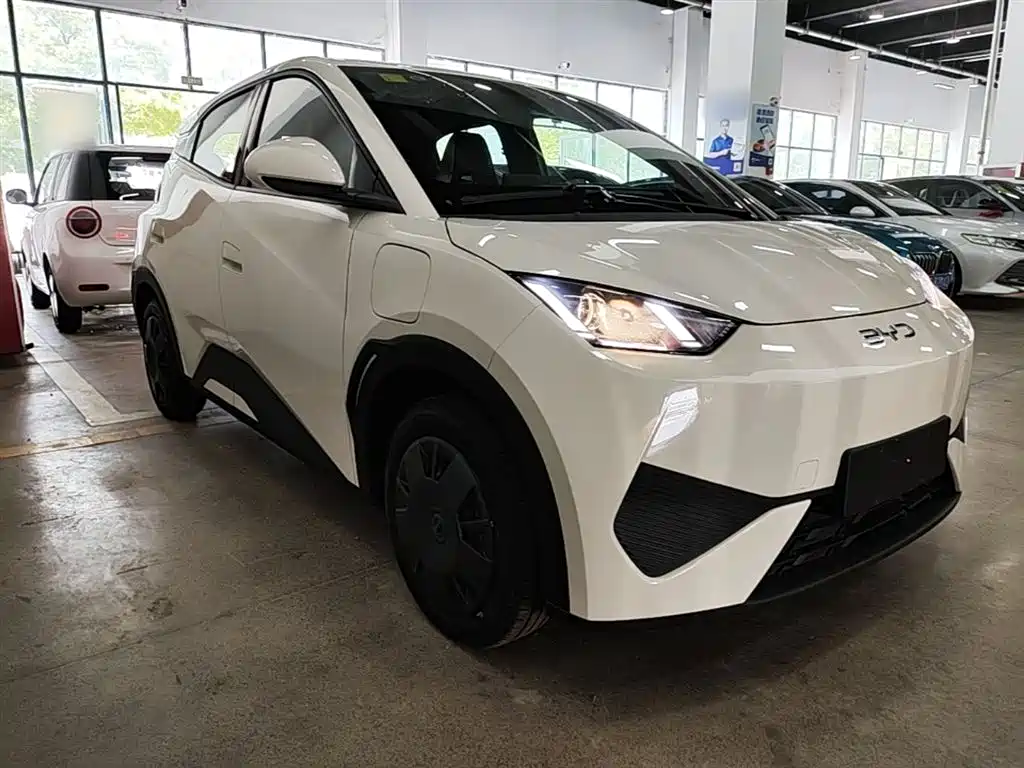 BYD Seagull 2025 Smart Drive Edition 305km Vitality Version фото 4