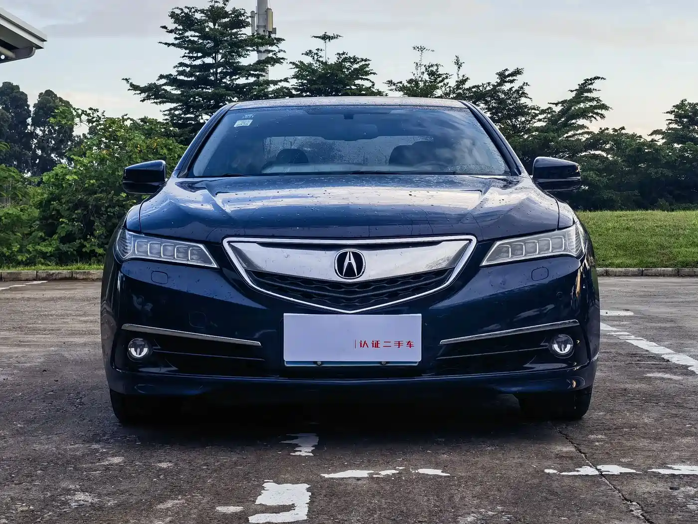 Acura TLX 2015 2015 2.4L Elite Edition