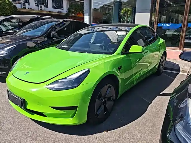 Tesla Model 3 Стандартный запас хода, задний привод, улучшенная, 3D6