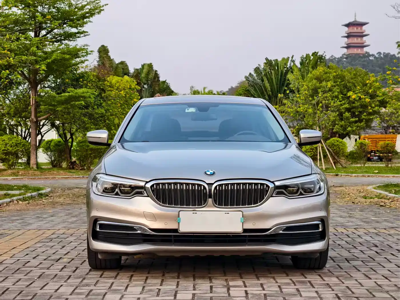 BMW 5 Series 2020 530Li Leading Luxury Package фото 3