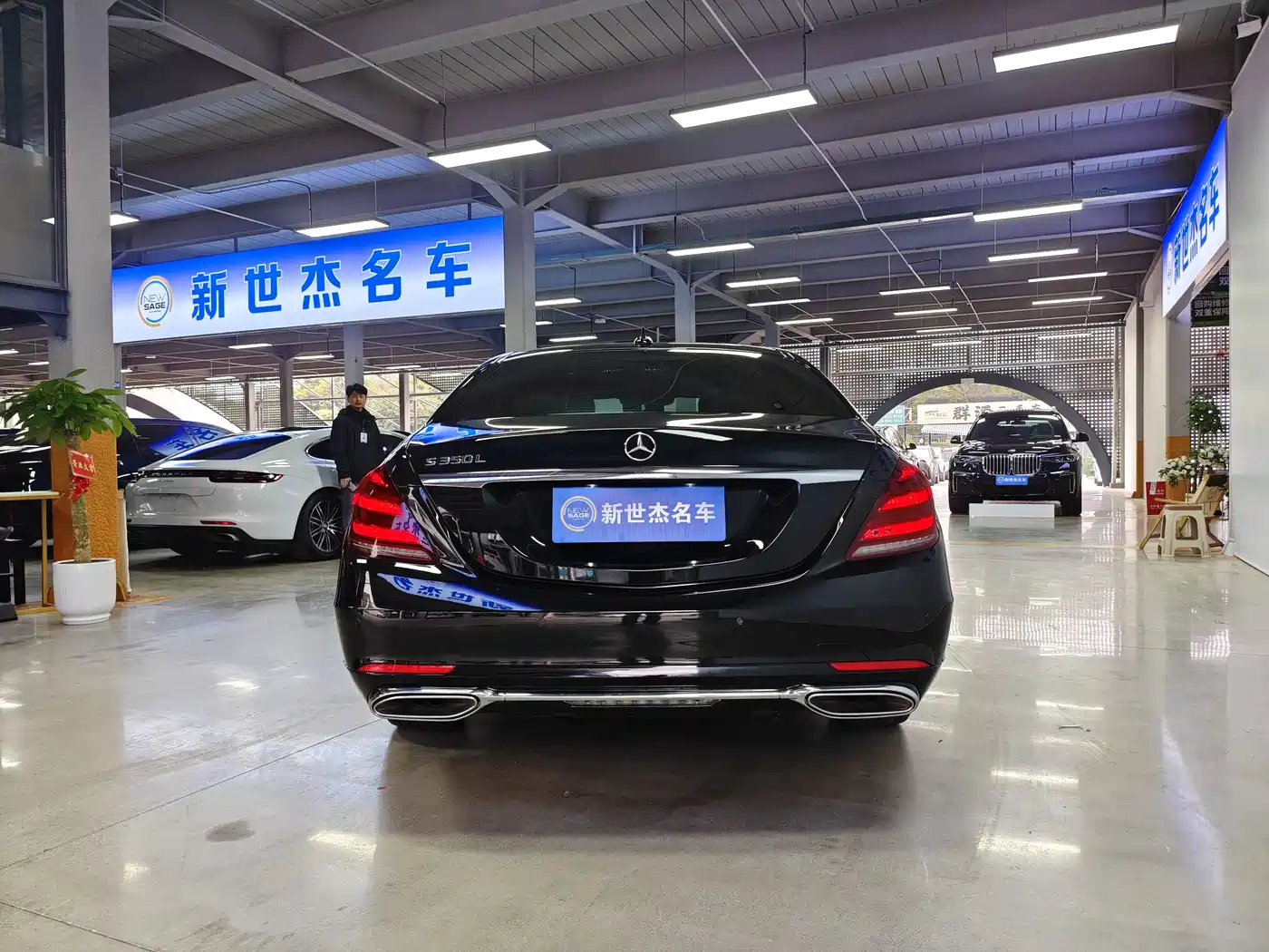 Mercedes-Benz S-Class 2019 S 350 L Premium фото 13