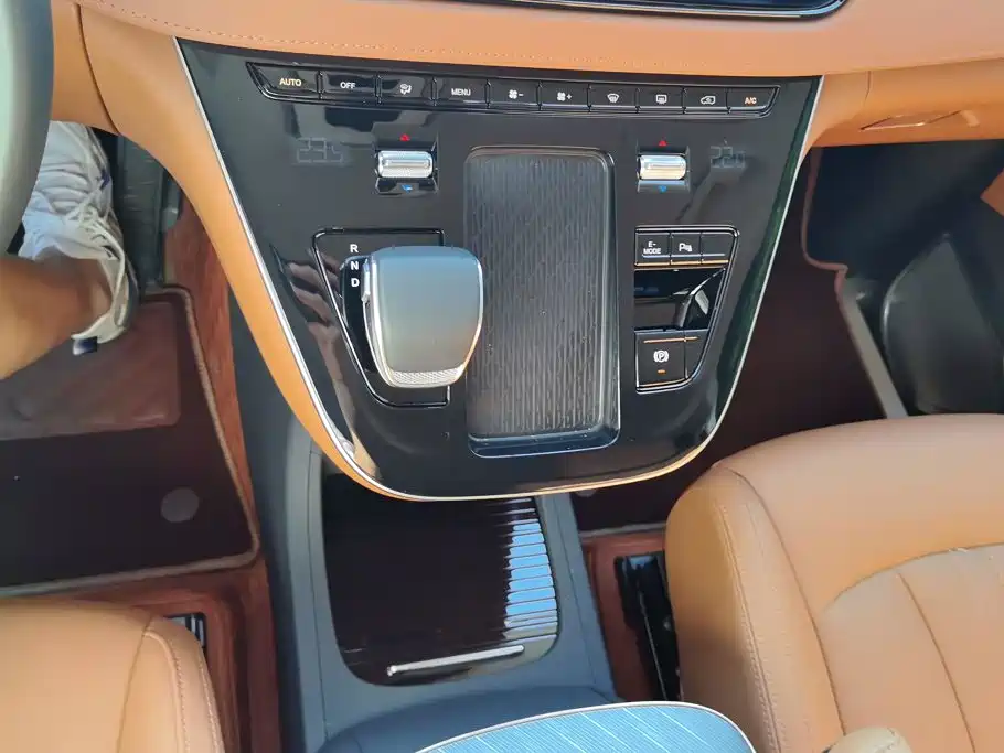 Hongqi HQ9 PHEV 2025 2024 Model 2.0T AWD Business Edition