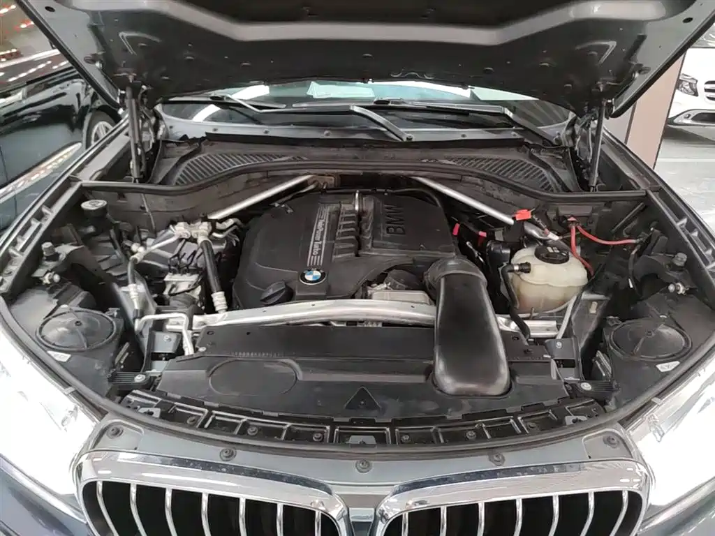 BMW X5 (Import) 2018 xDrive35i Elegant Model фото 20