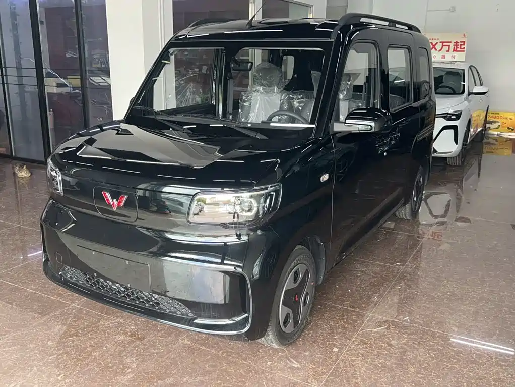 Wuling Motors Wuling Zhiguang NEV 2025 Model 305km Base Version