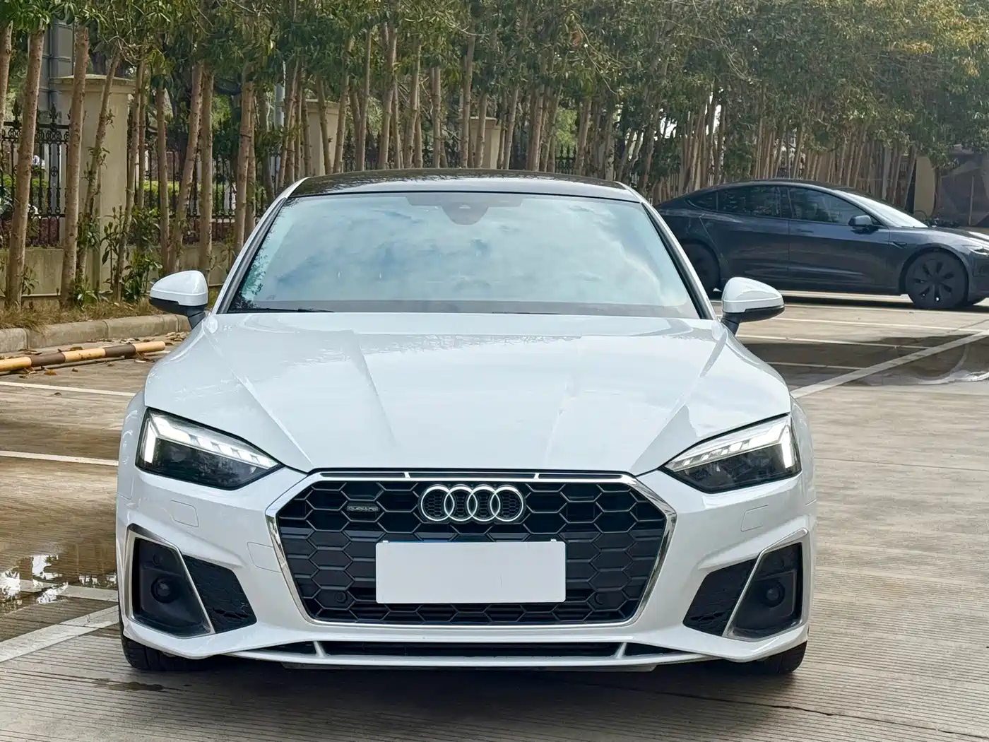 Audi A5 (Import) 2023 Sportback 40 TFSI Fashion Dynamic фото 3