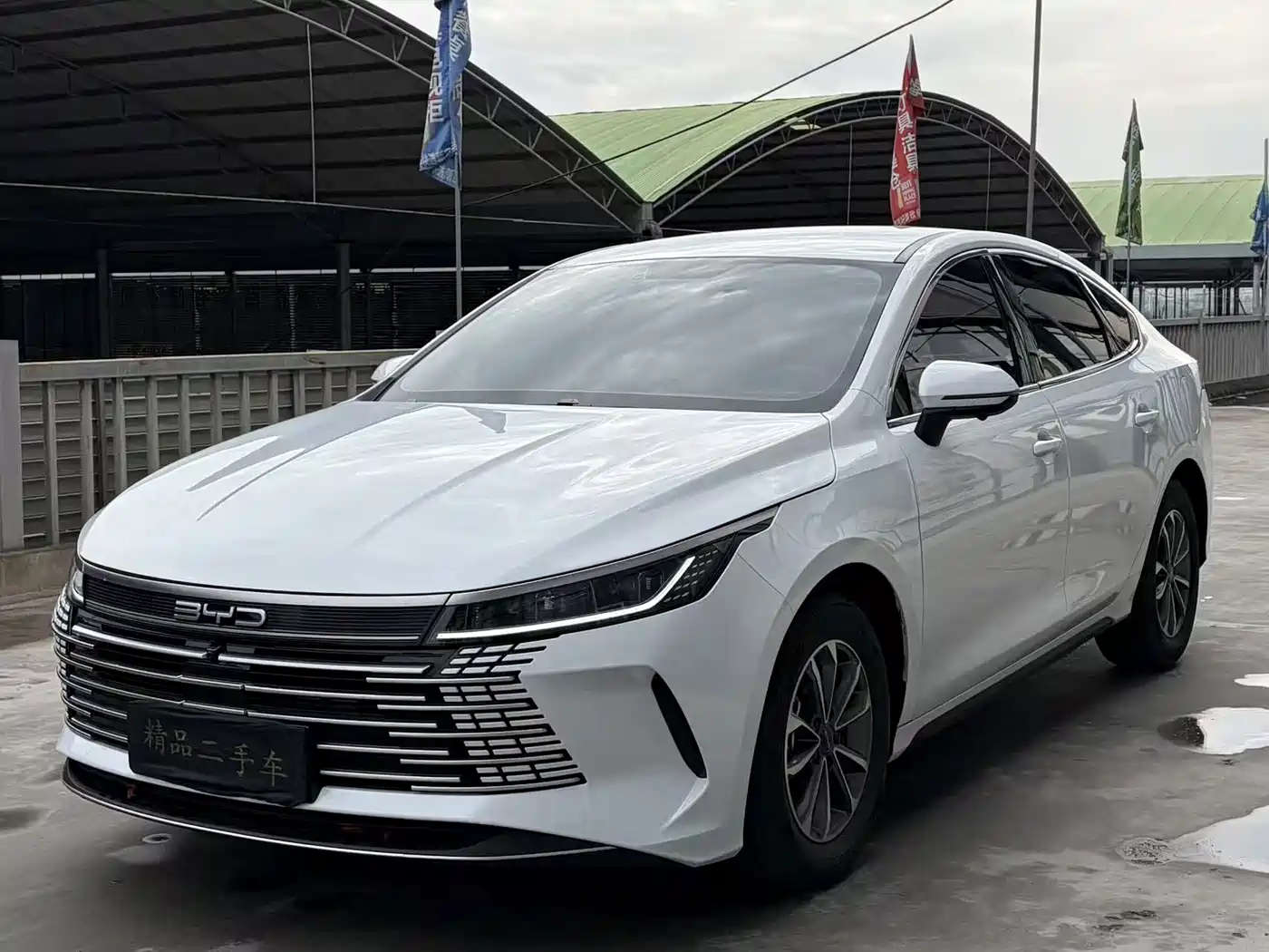 2025 BYD Destroyer 05