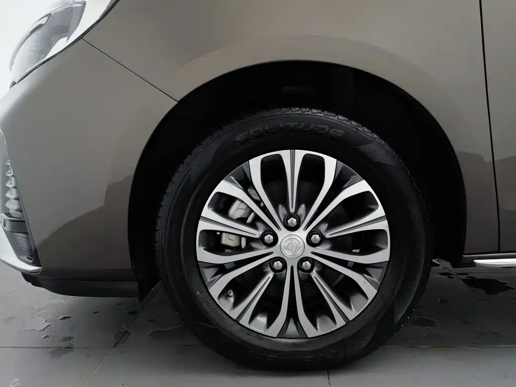 Buick GL8, миниатюра 17