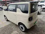 Фото 5 - Geely Galaxy Panda