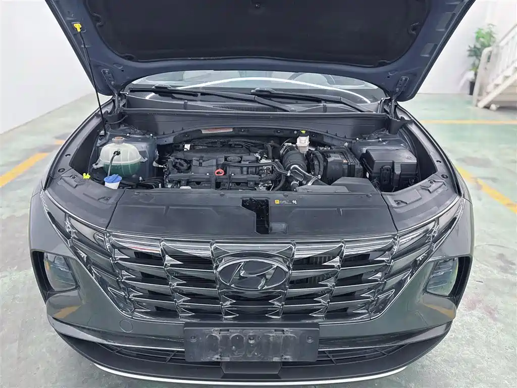 Hyundai Tucson 2021 Tucson L 1.5T DCT LUX Premium фото 16