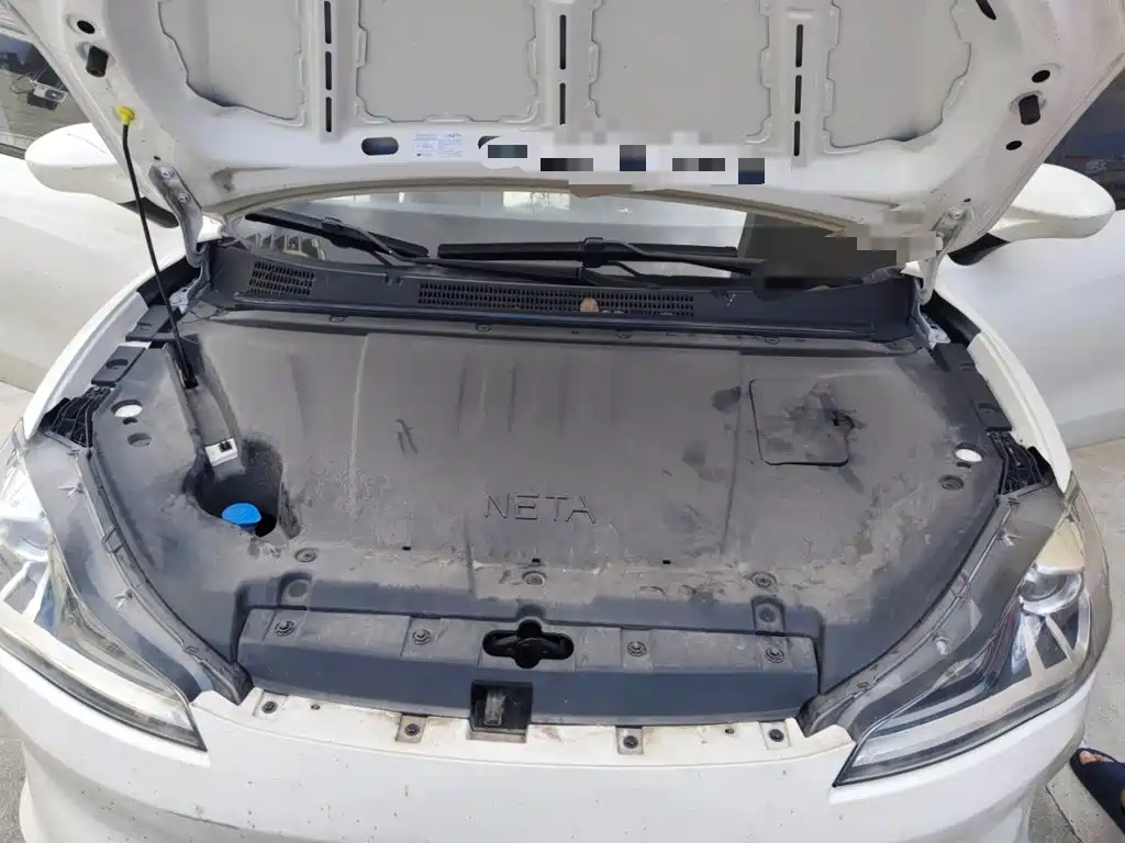Nezha Auto Nezha V 2023 2022 Tide 300 Lite Ternary Lithium