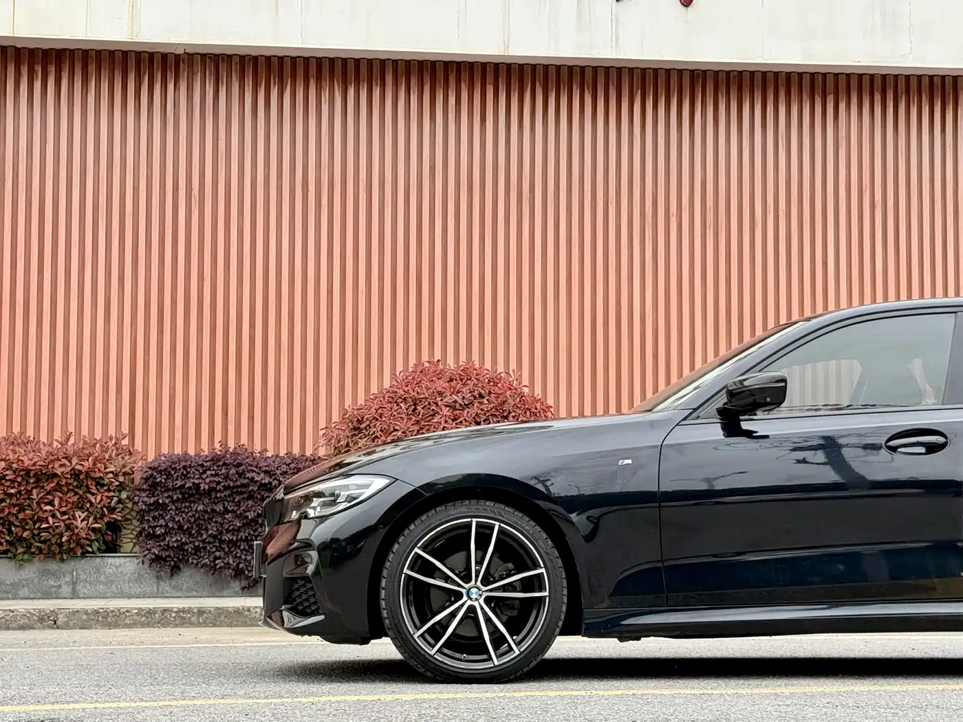 BMW 3 Series 2020 325Li M Sport Package фото 3