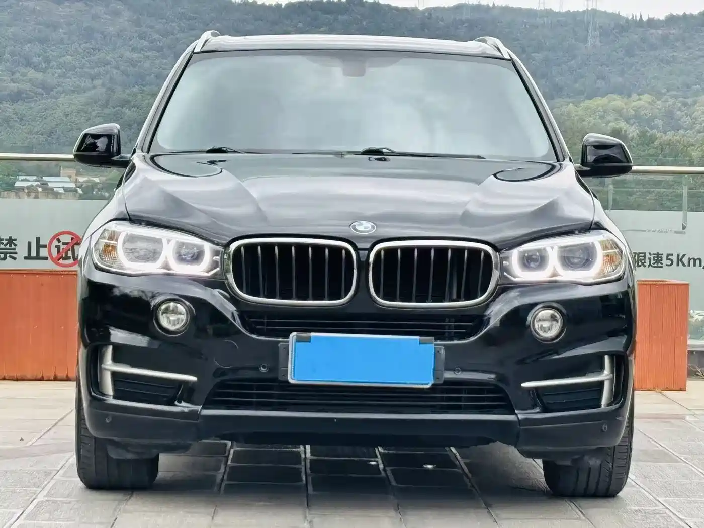 BMW X5 (Import) 2017 xDrive35i Elegance фото 2