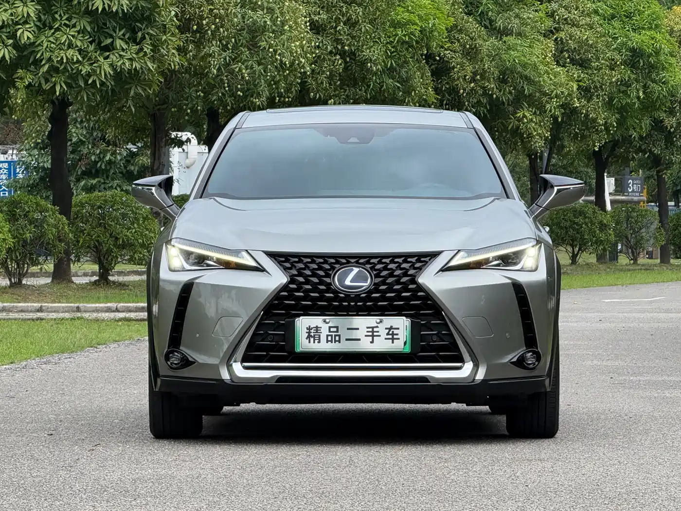 Lexus UX Electric 2020 300e Pure Yue Edition фото 2
