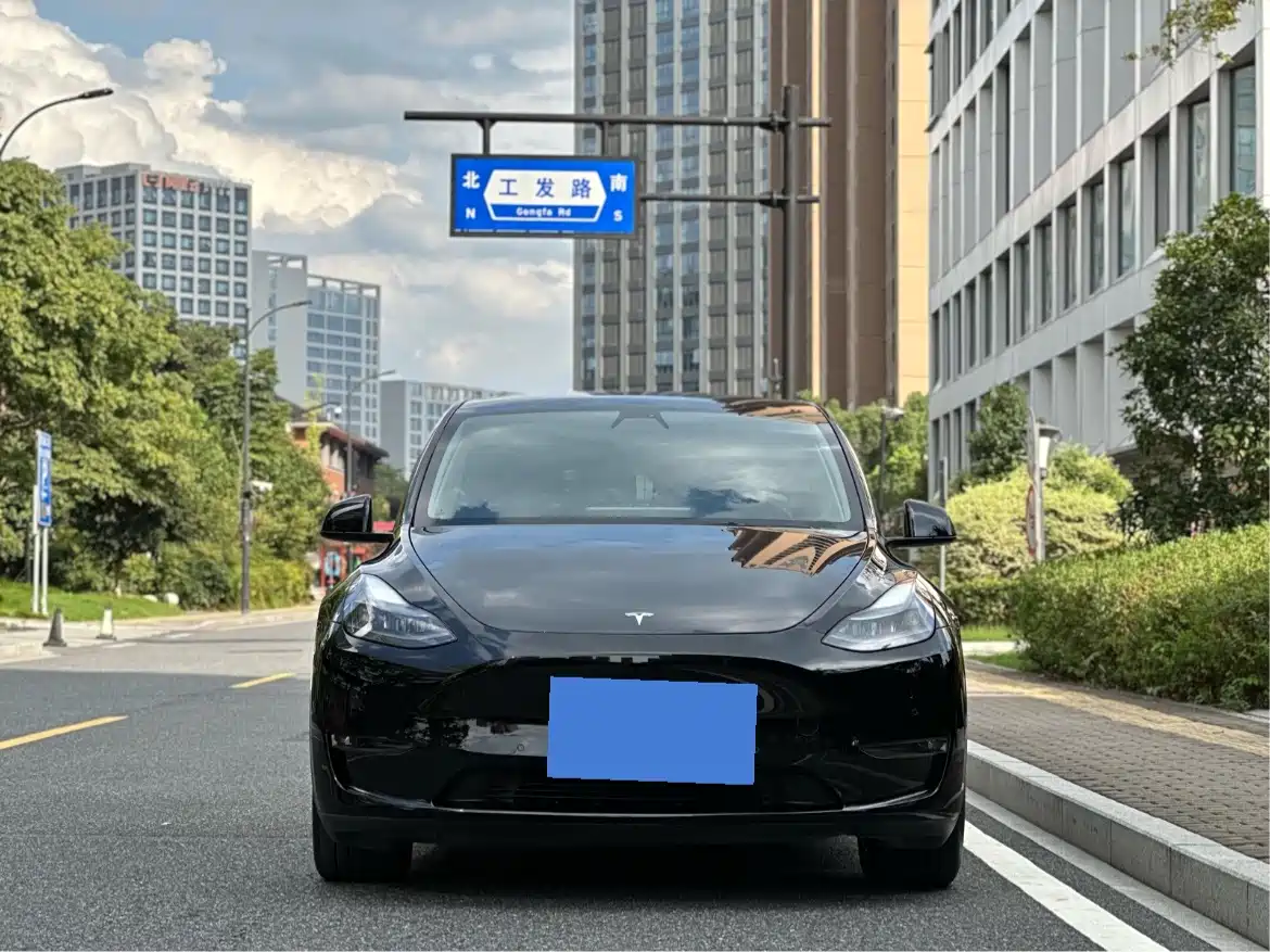 Tesla Model Y 2022 Rear-Wheel Drive Version