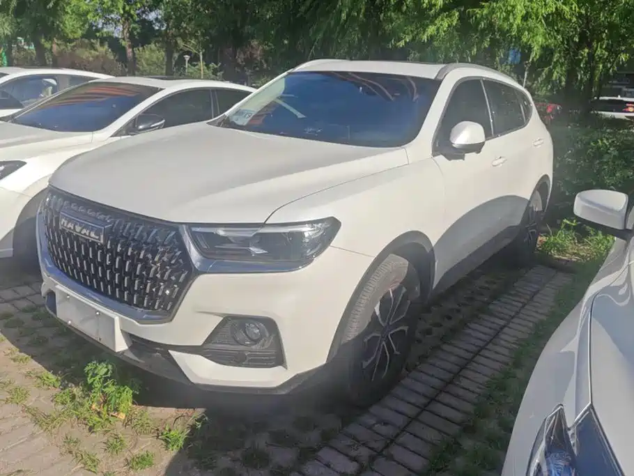  Haval Haval H6 2023 National Trend Edition 1.5T Automatic Urban