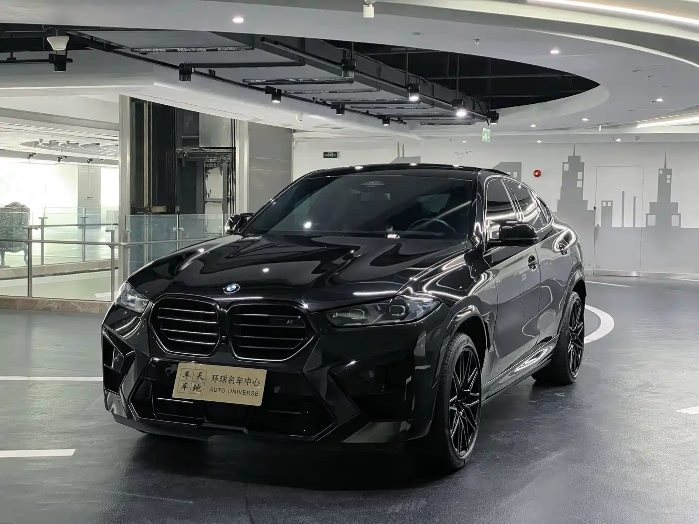 BMW X6 M 2023 Model X6 M Thunder Edition