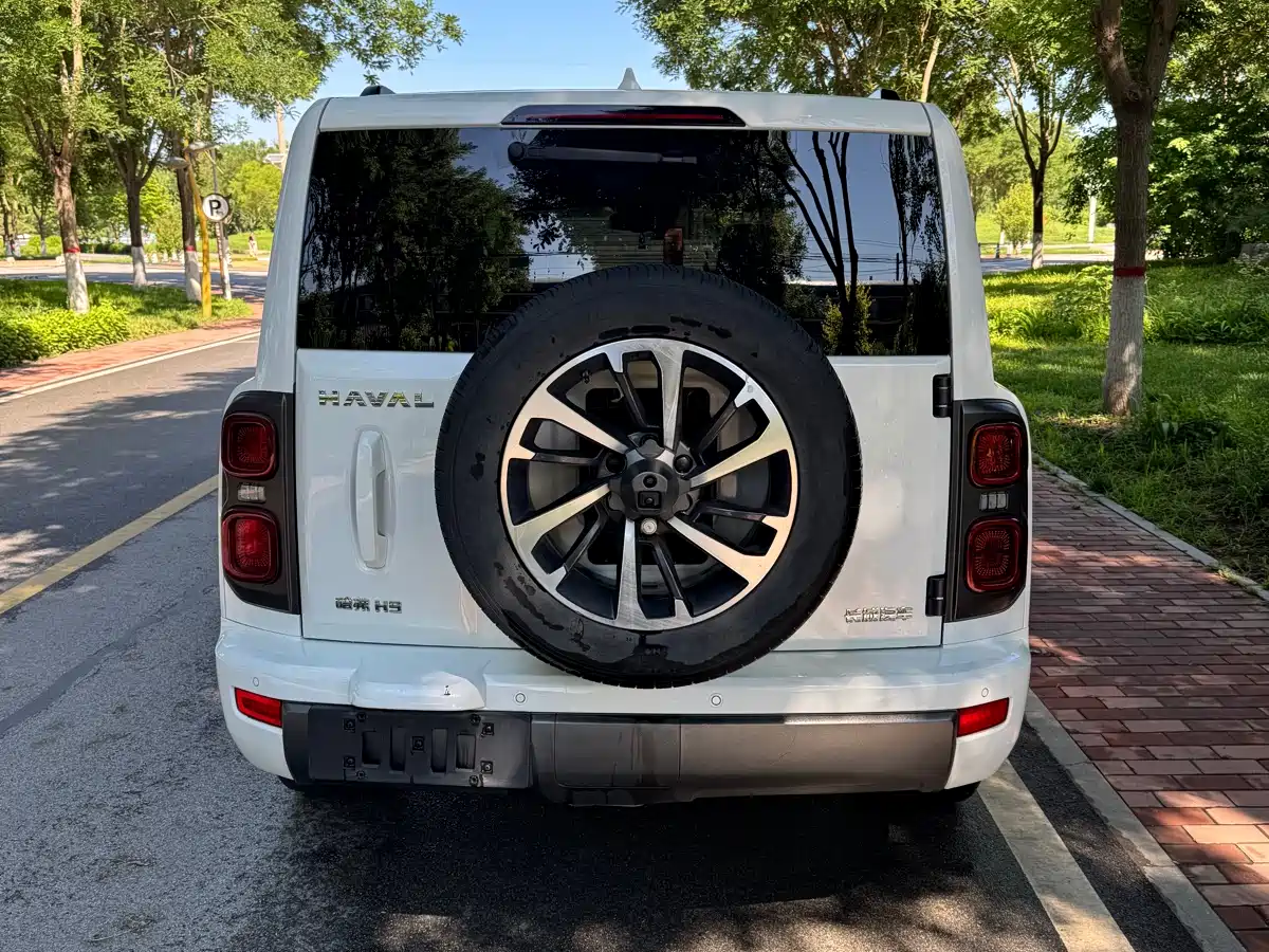 Haval H9 2025 2024 2.4T Diesel AWD Extreme Edition