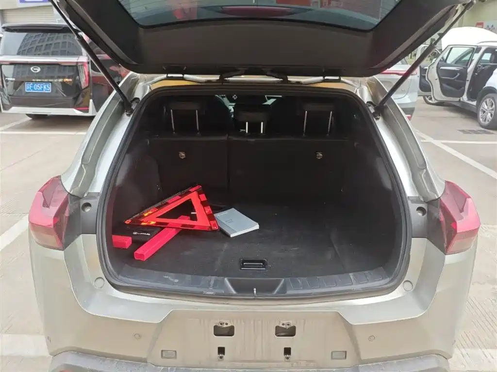 Lexus UX 2020 260h Explore Fun Edition China V фото 10