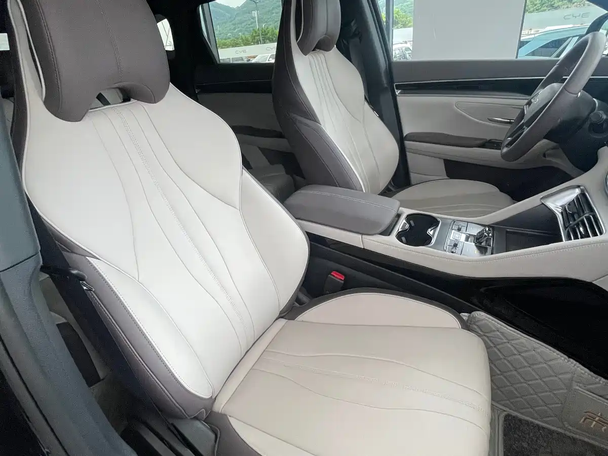 BYD Song PLUS PHEV 2025 DM-i 112KM Premium фото 18