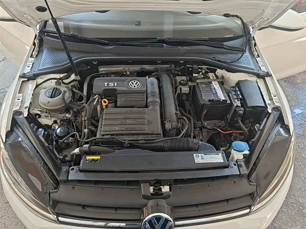 Volkswagen Golf 2019 200TSI DSG Comfort Progressive China VI фото 20