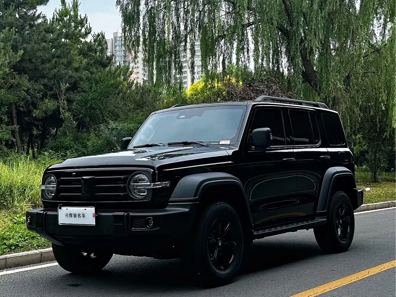 Tank 300 2024 Model 2.0T Challenger