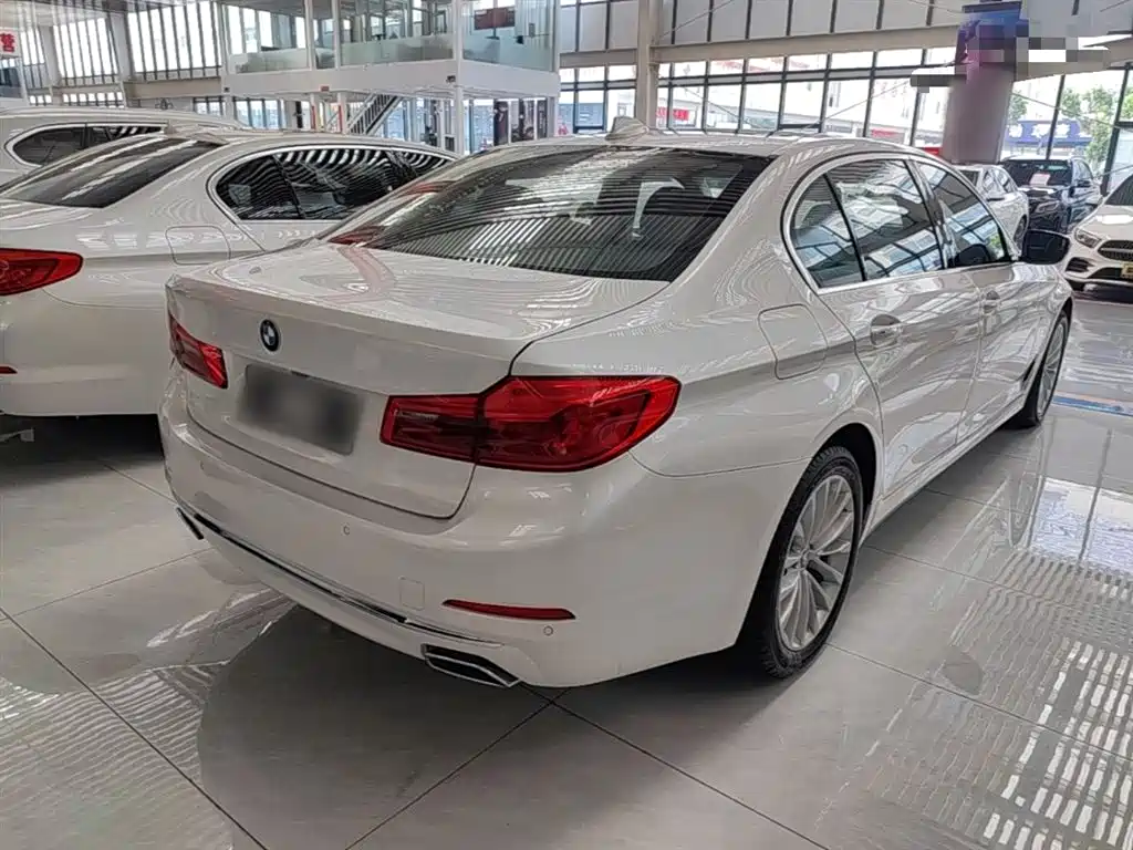 BMW 5 Series 2018 Facelift 530Li Leading Luxury Package фото 7