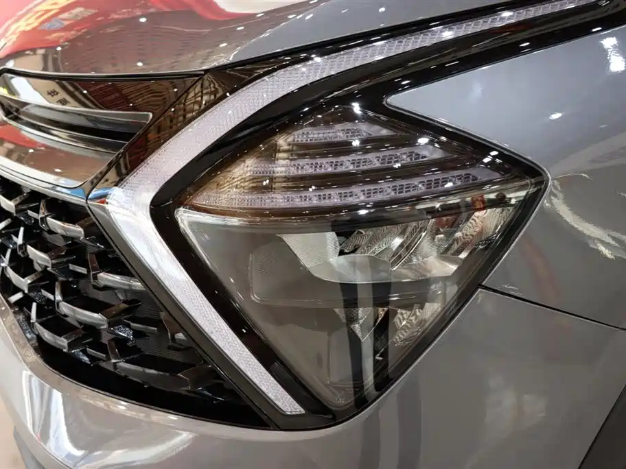 KIA LION PLATINUM EXPANDS THE WORLD