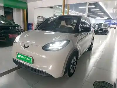 Wuling Bingo