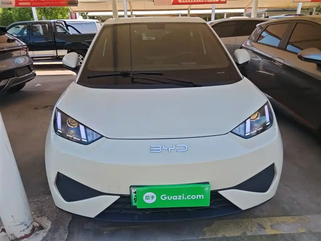 BYD Seagull 2025 305km Vitality фото 3