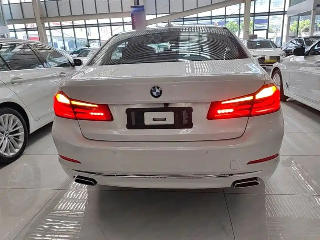 BMW 5 Series 2018 Facelift 530Li Leading Luxury Package фото 6