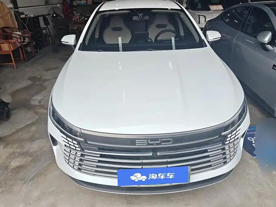 BYD Destroyer 05 2024 Glory Edition DM-i 55KM Luxury фото 2