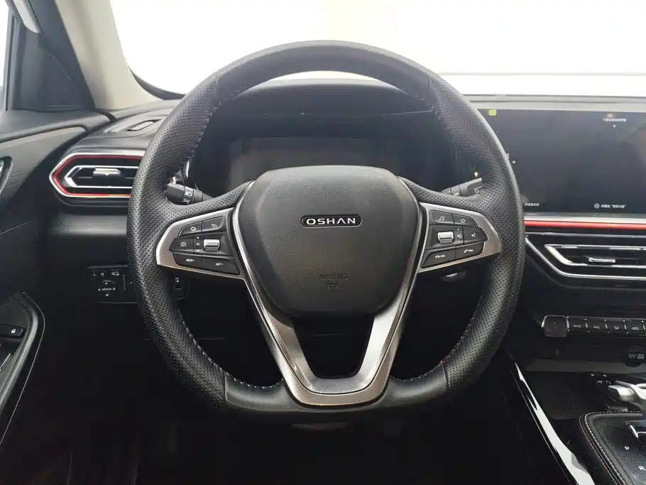 Фото 15 - Changan Oshan Changan Oushang X5