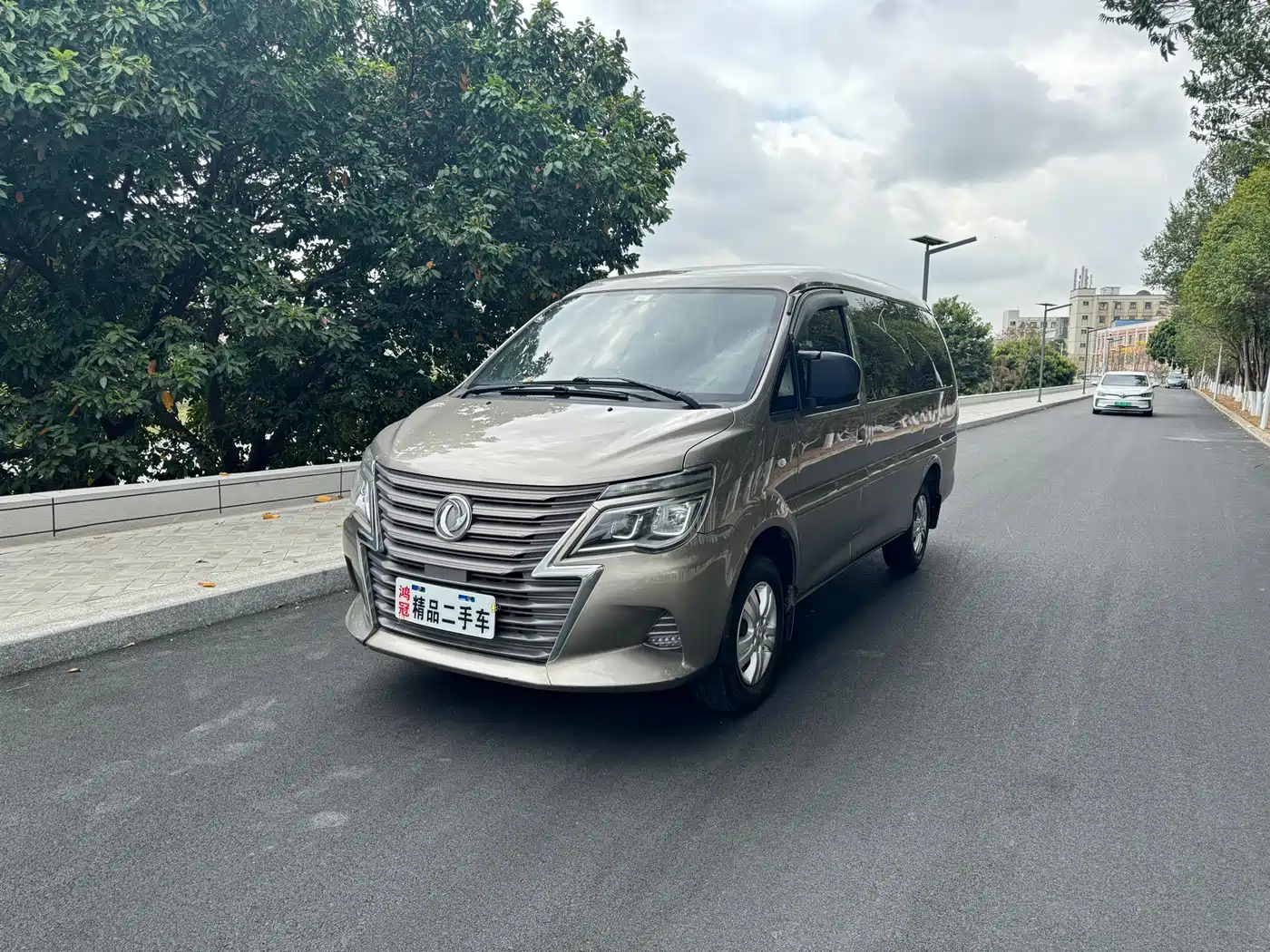 DONGFENG LINGZHI