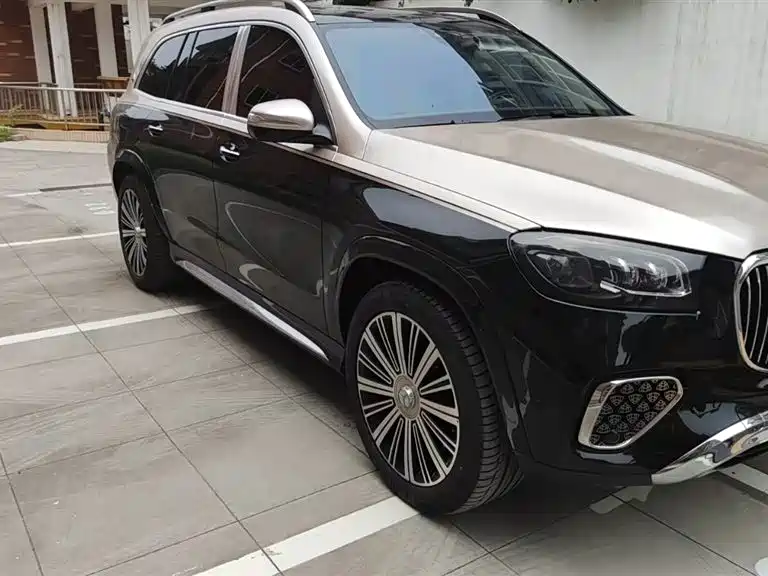 Mercedes-Benz Maybach GLS 2025 GLS 480 4MATIC фото 3