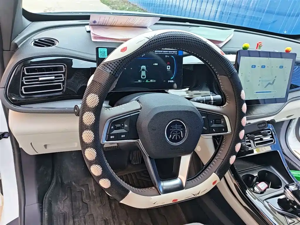 BYD Qin PLUS 2024 Glory Edition DM-i 55KM Leading фото 11