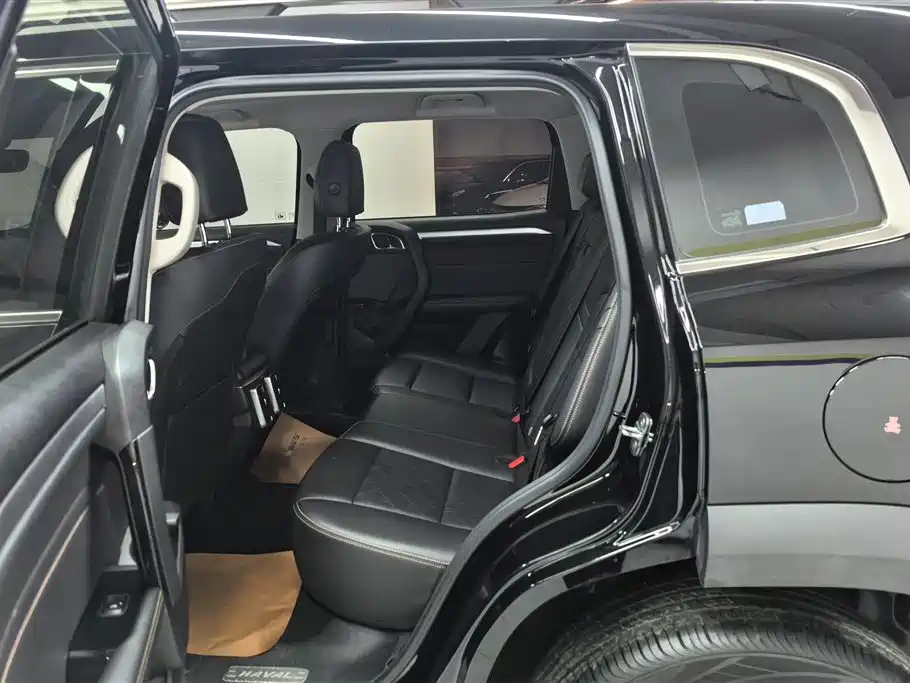 Haval Big Dog 2022 1.5T DCT FWD Border Collie Edition фото 11