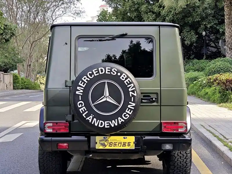 Mercedes-Benz G-Class AMG 2007 AMG G 55 фото 17
