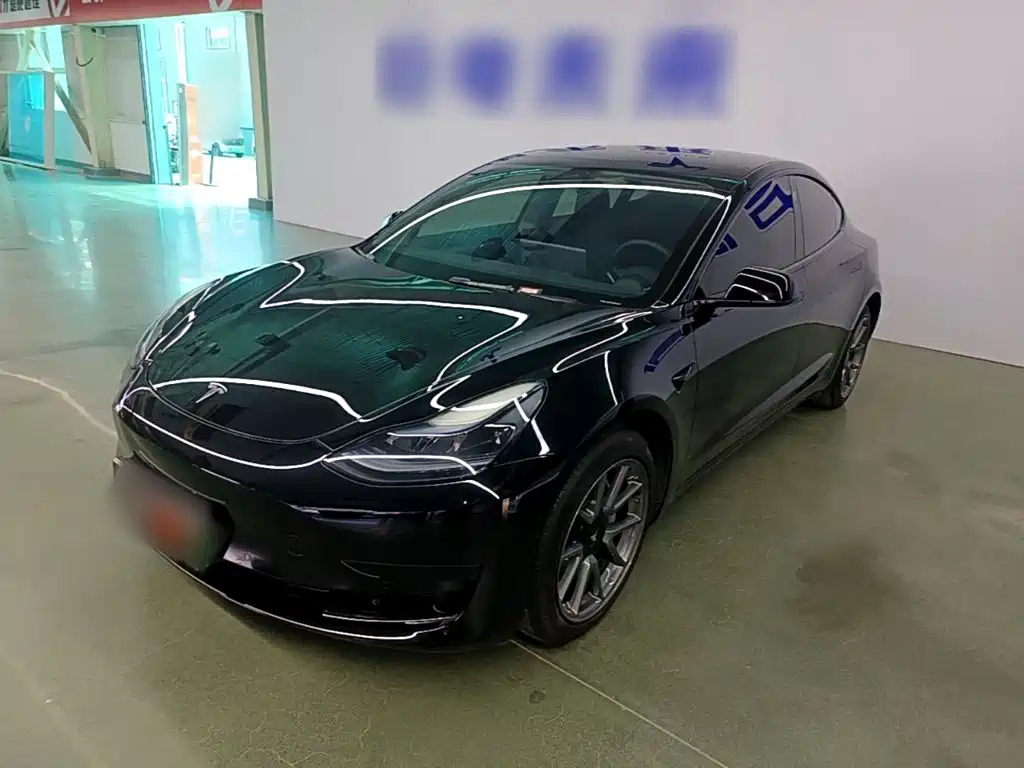  Tesla Model 3 2022 Model Rear-Wheel Drive Version