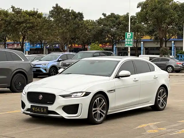 jaguar xel