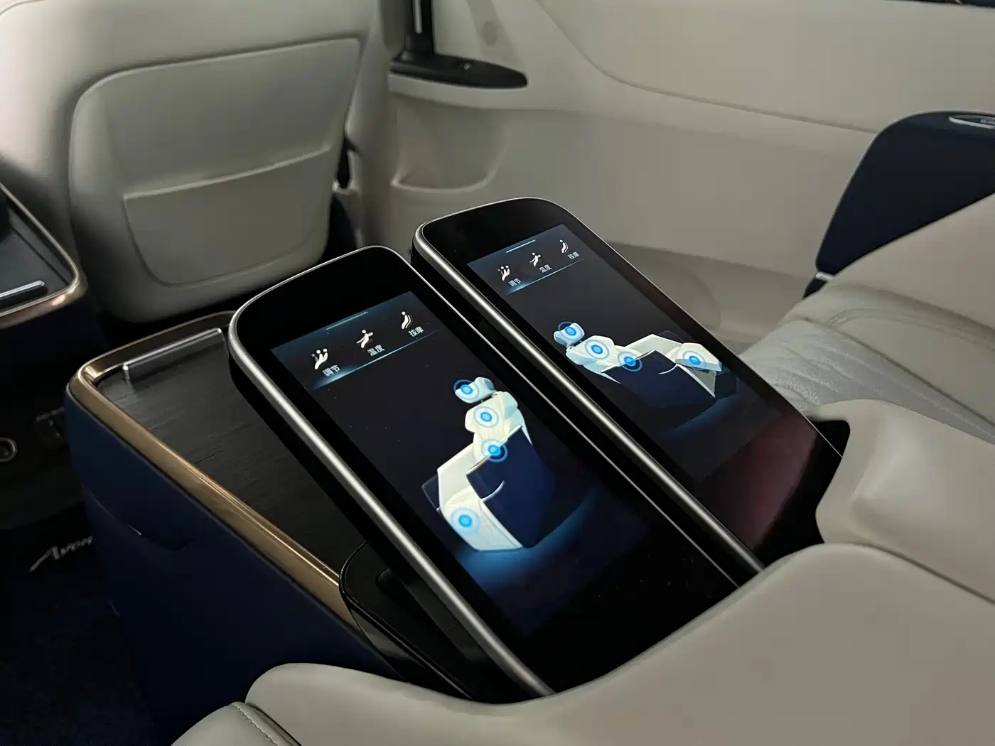 Buick GL8 2021 Avenir Aivia 4-Seater Prestige Edition фото 24