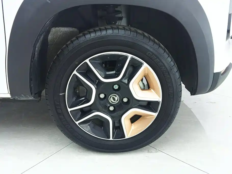 صورة 6 - Dongfeng Yipai Dongfeng Nano EX1