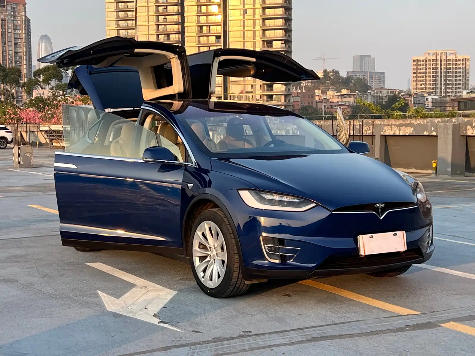Фото 22 - Tesla Model X