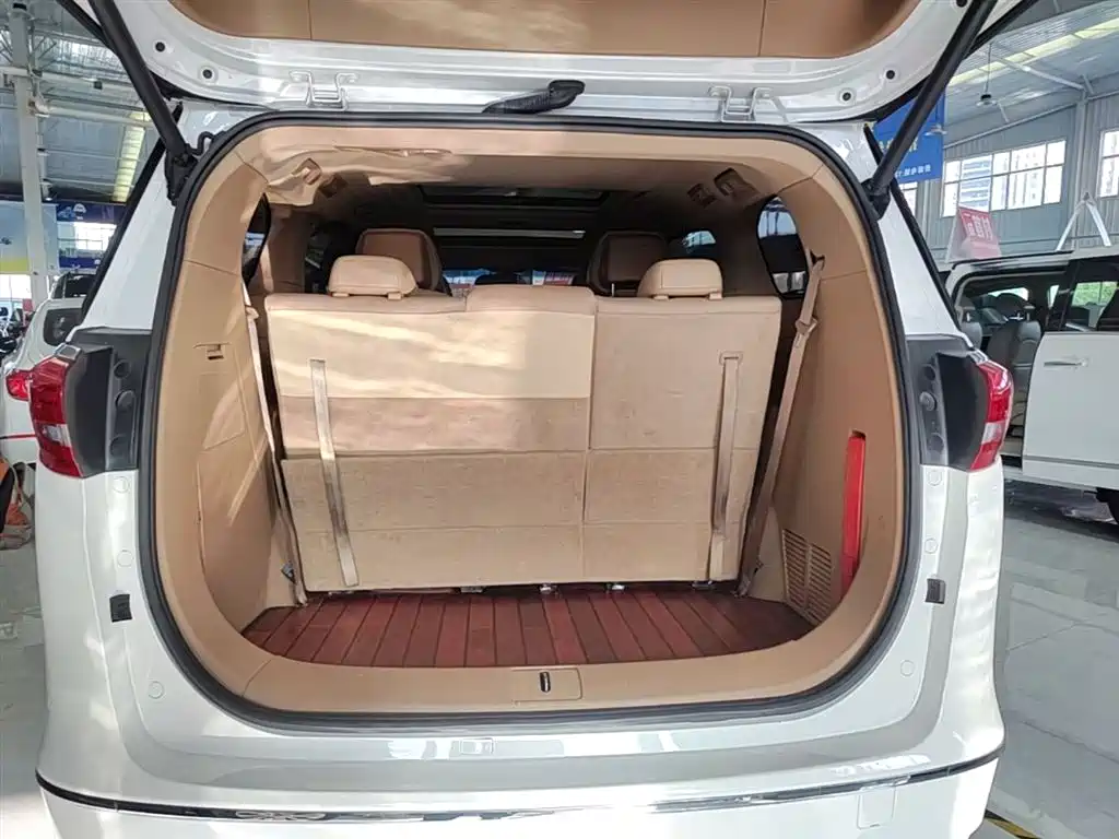 Buick GL8 2017 ES 28T Luxury China V фото 19