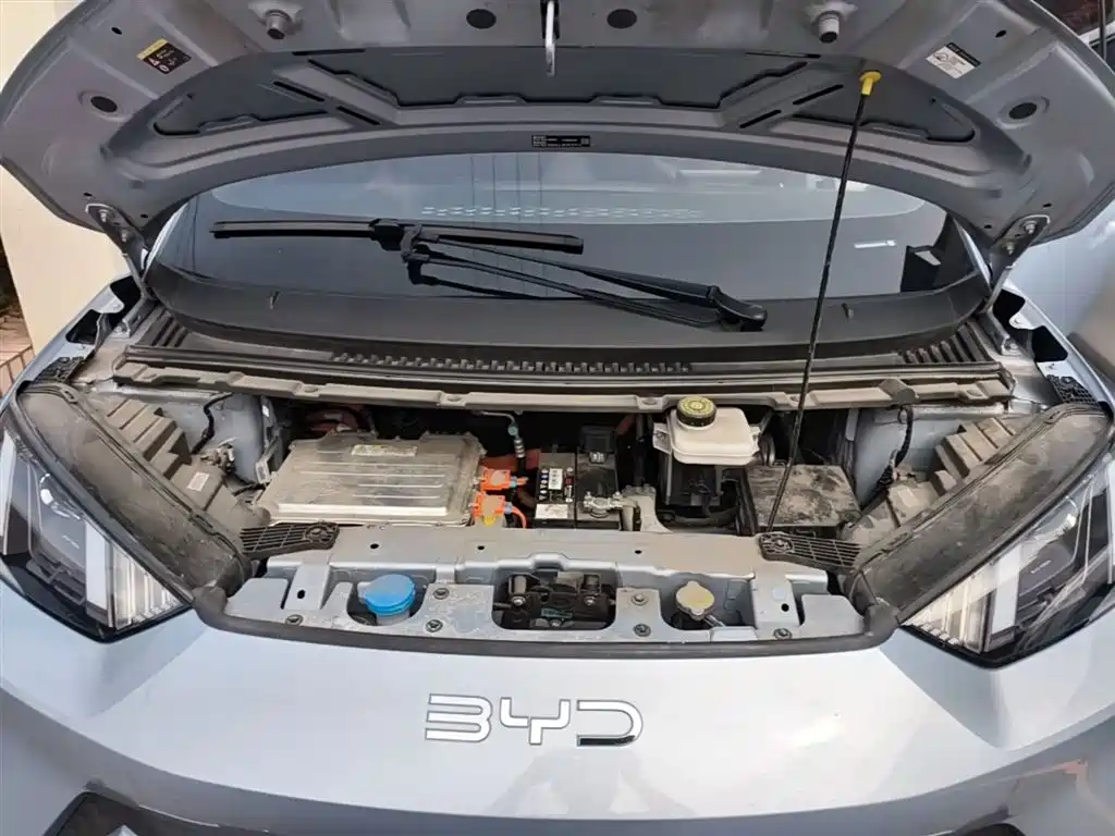 BYD Seagull 2025 305km Vitality фото 20