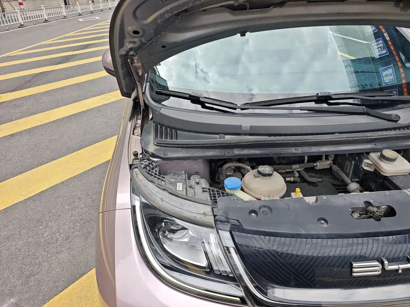 BYD Dolphin 2021 Model 405km Fashion Edition фото 22