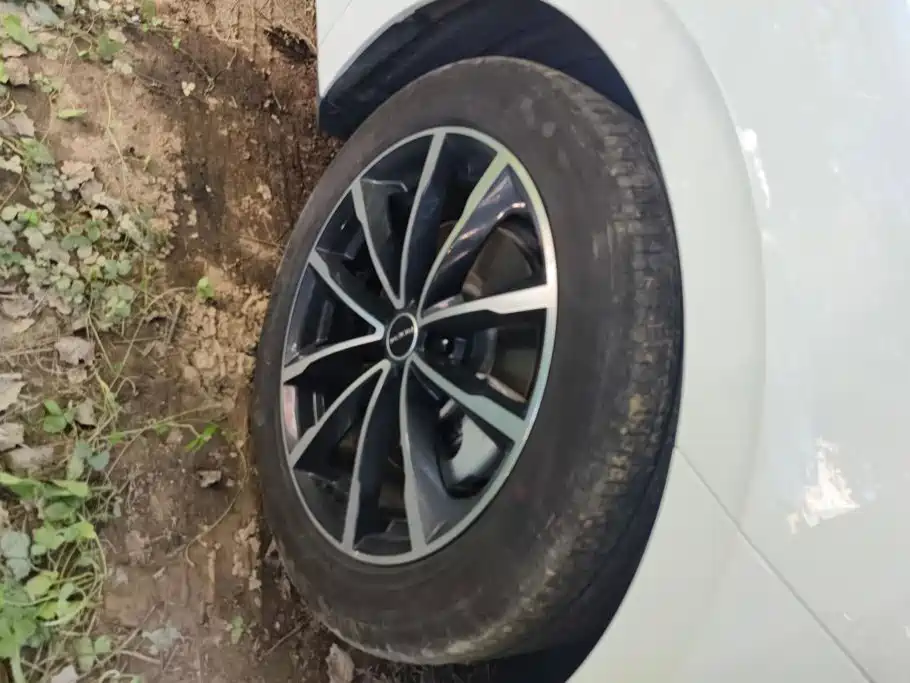 Roewe D7 2025 2025 DMH 125km World Champion Edition