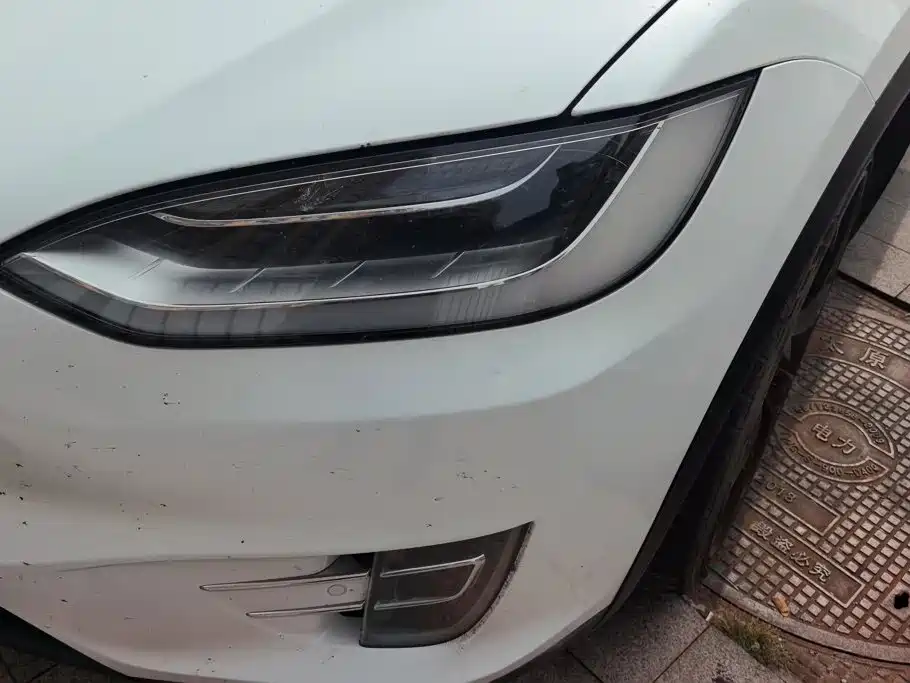 Tesla Model X 2017 2017 Model X 100D Long Range