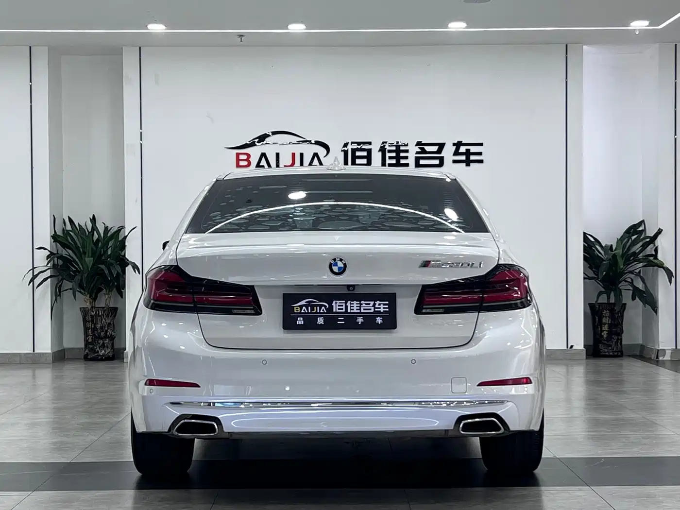 BMW 5 Series 2019 530Li Premium Luxury Package фото 6