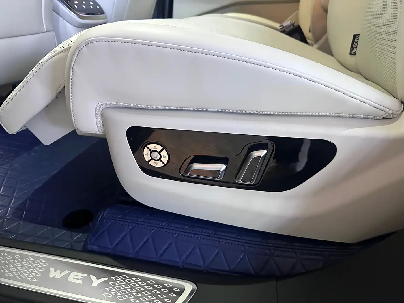 WEI PAI WEI BRAND BLUE MOUNTAIN